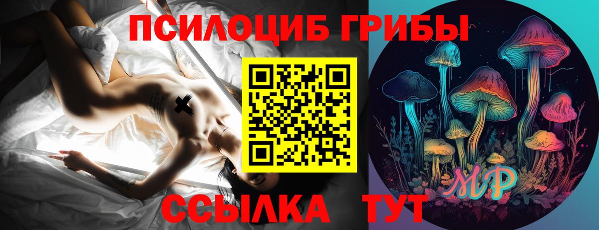 Галлюциногенные грибы Psilocybine cubensis Заречный