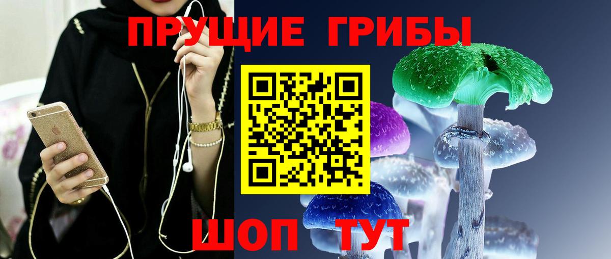 Галлюциногенные грибы Psilocybe  Вход с VPN  Псилоцибиновые грибы Psilocybe  Заречный 